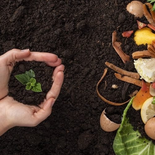 0-FOTO-ABRE-tecfil-residuos-organicos-compostagem-1