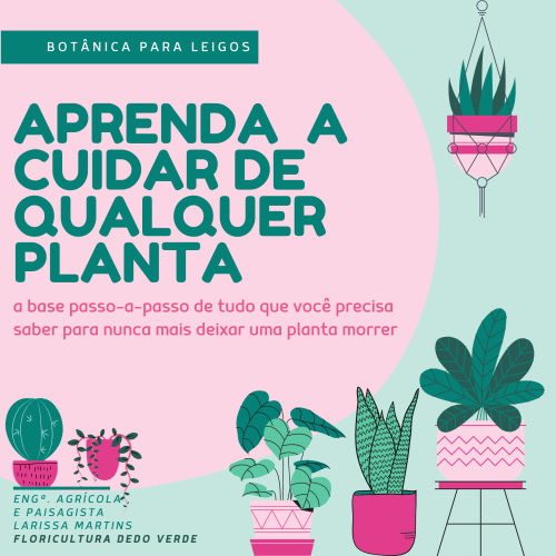 AzuleBrancoSimplesIlustradoBoletimPostparaInstagram2