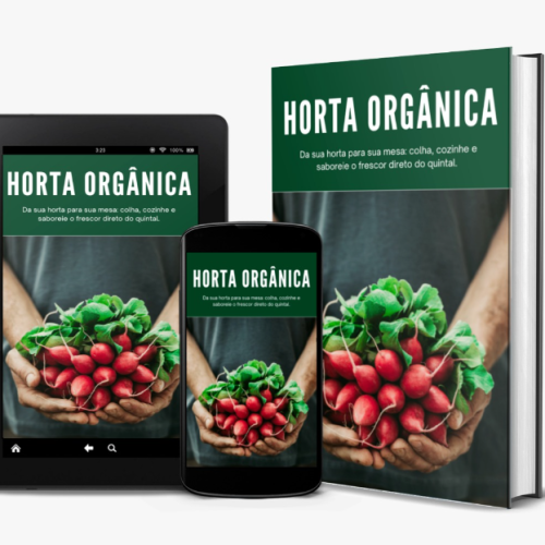 Capturadetela20240527064849