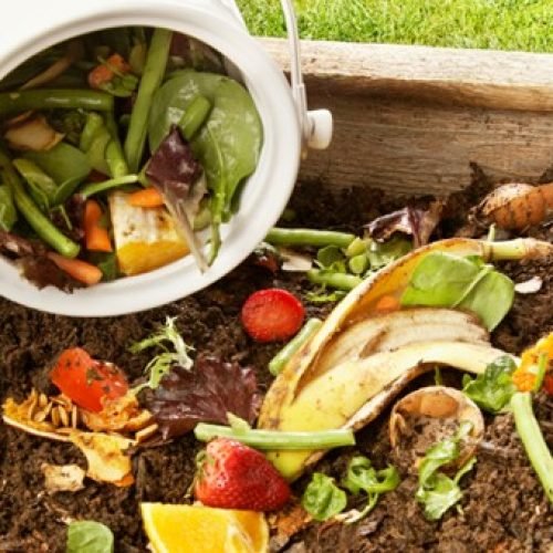 compostagem-1-700x340